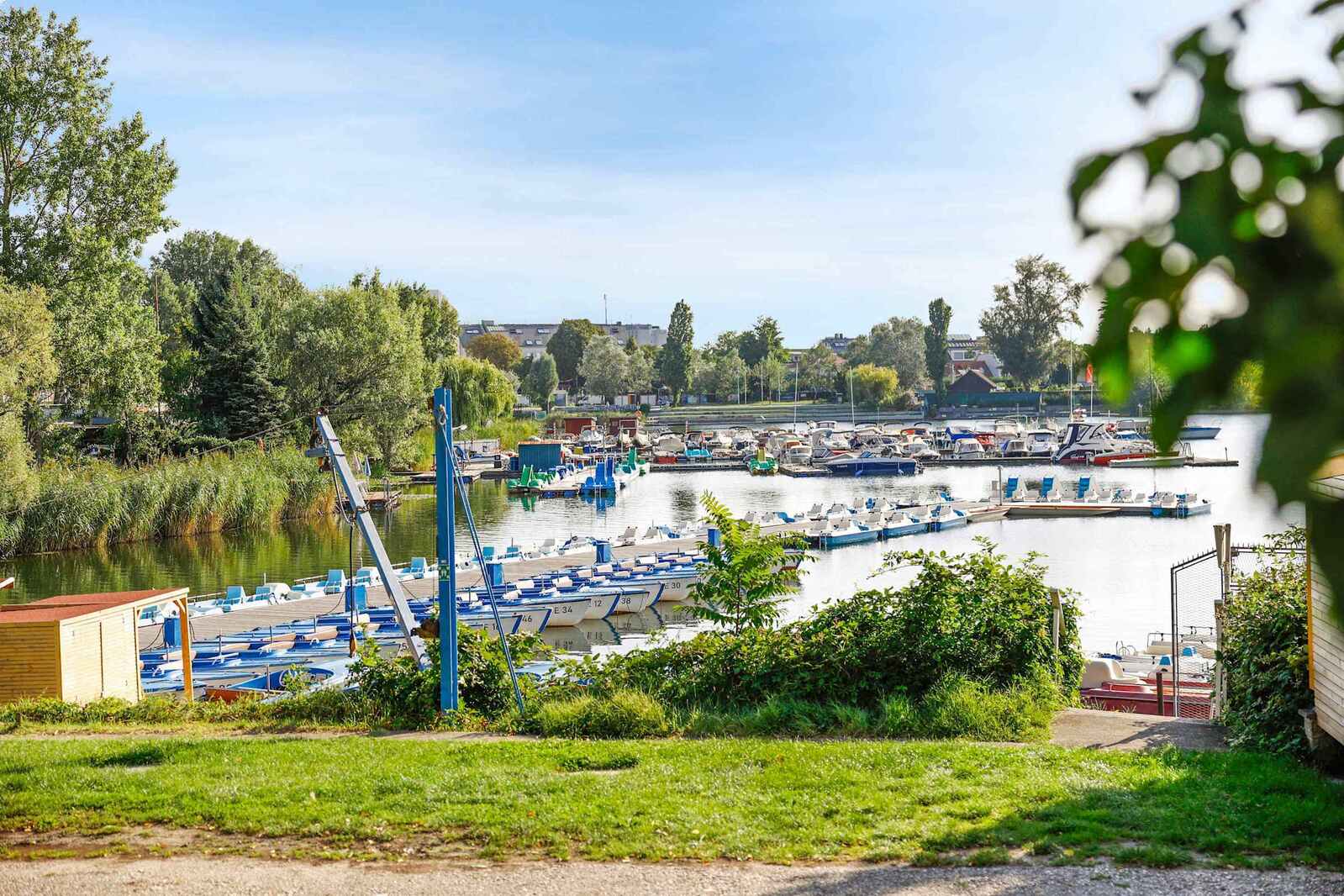 Quaint Riverside Marina — Peaceful Views of Docked Boats Framed by Nature and City Charm