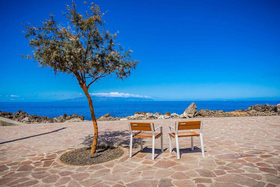 Tranquil Seating Under a Tree – A Quiet Moment with an Endless Horizon