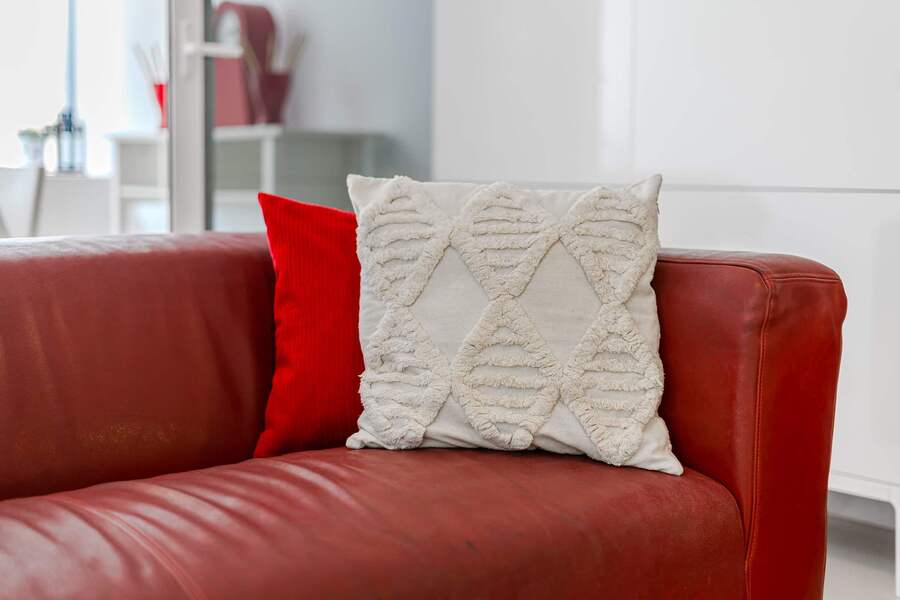 Modern Living Area with Sofas, Bold Art & Comfy Touches – A Bright Social Space to Unwind