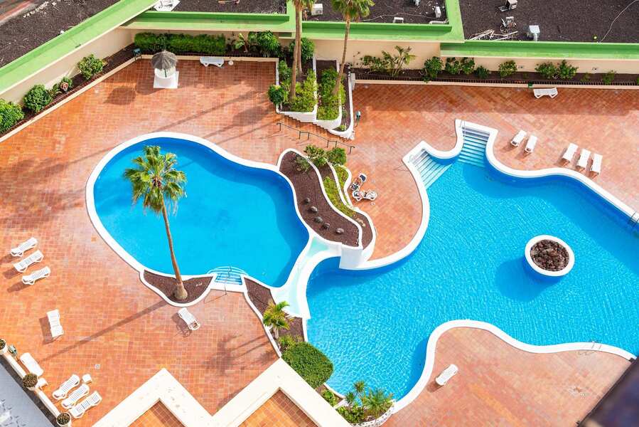 Resort-Style Swimming Pool with Sun Loungers & Palm Tree