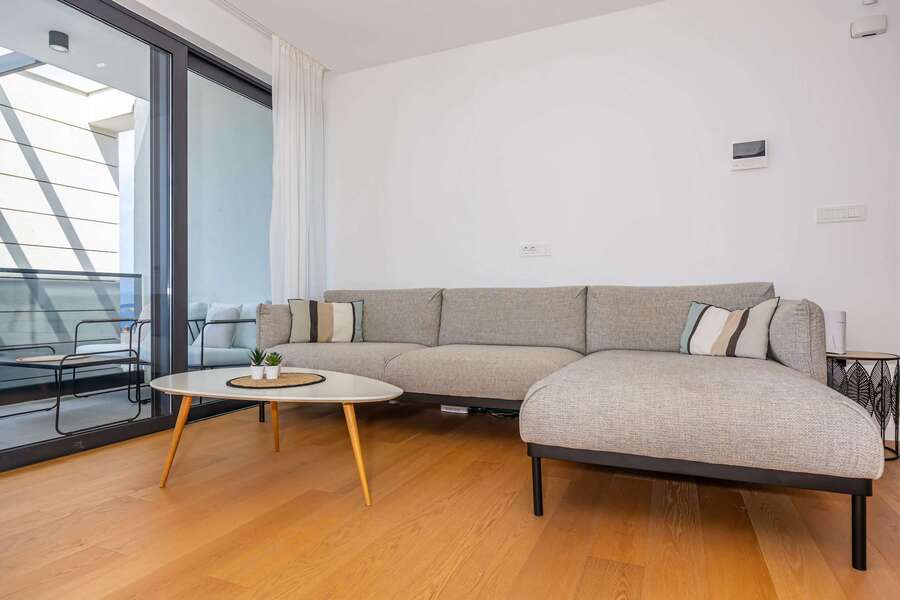 Living room: sofa and lounge area
