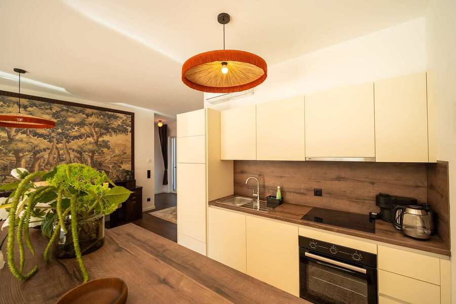 Kitchen with induction hob, oven and kettle